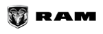 OEM-RAM-Light